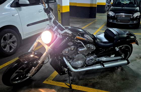 HARLEY-DAVIDSON V-ROD MUSCLE 